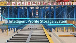 DIG Dual Stacker Intelligent Profile Storage System